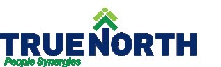 True North logo